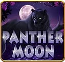 Panther Moon